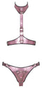 CONJUNTO DE ARNÊS