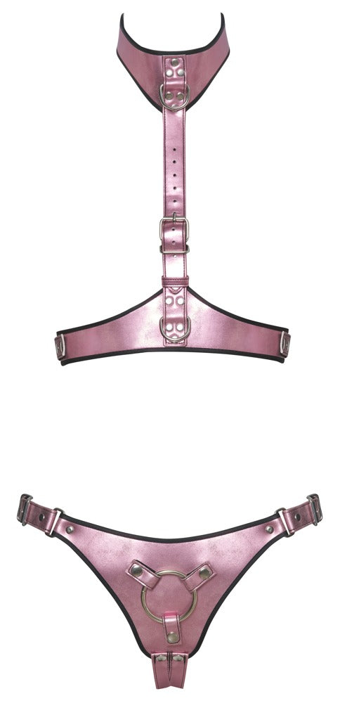 CONJUNTO DE ARNÊS