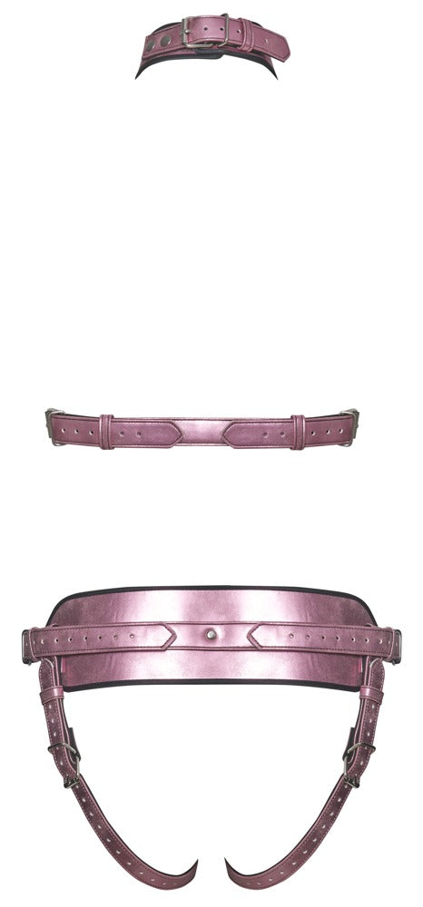 CONJUNTO DE ARNÊS