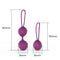 ENGILY ROSS KELLY BOLAS DE KEGEL SILICONE PÚRPURA