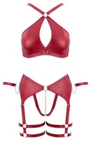CONJUNTO LINGERIE