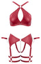 CONJUNTO LINGERIE