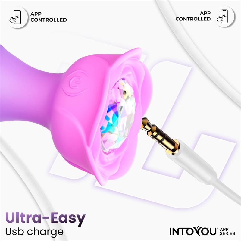 PLUG ANAL MOXY COM ROTAÇÃO 360.º E APP