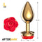 PLUG ANAL DE METAL DOURADO COM ROSA VERMELHA