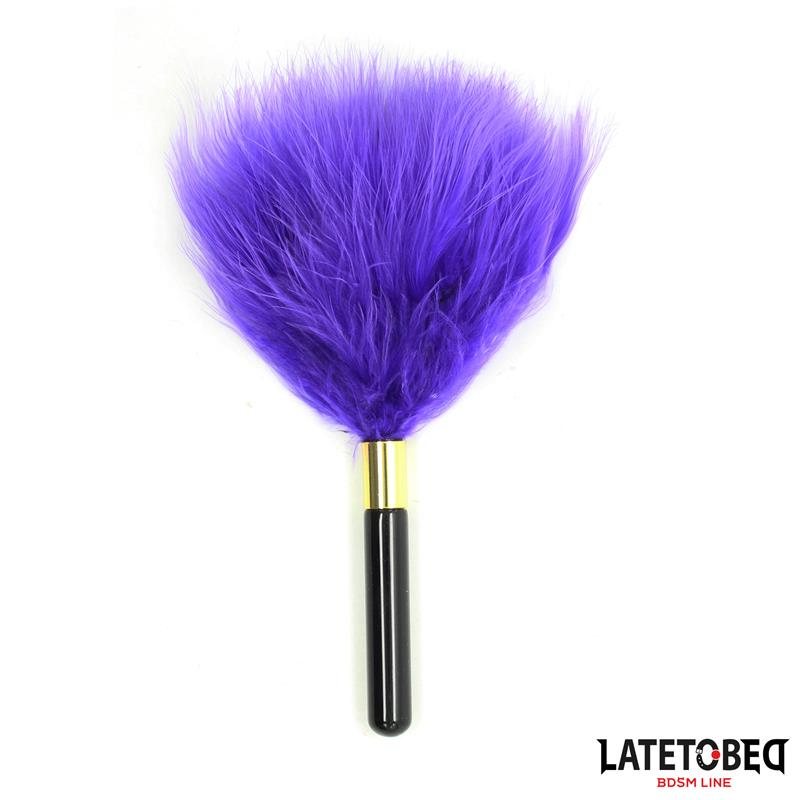 ESPANADOR DE PLUMAS ROXAS
