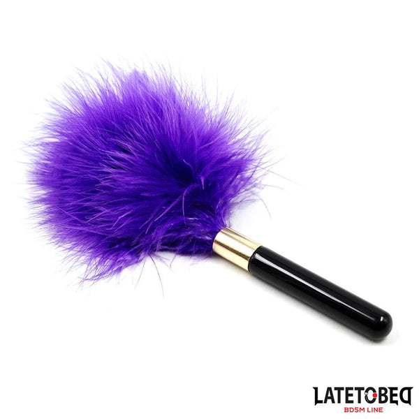ESPANADOR DE PLUMAS ROXAS