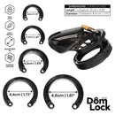 JAULA DE CASTIDADE SENTENCE