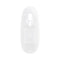VIBRADOR COM LED E COMANDO LED VIBRATING STRAIGHT COCK 7"