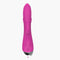 A-GUSTO VIBRADOR DOLPHIN USB ROSA