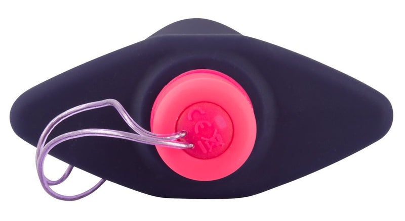 PLUG ANAL REMOTE CONTROL